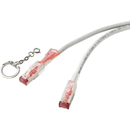 Renkforce RF-4533114 RJ45 Nätverk Anslutningskabel CAT 6A S/FTP 1.00 m Grå låsbar