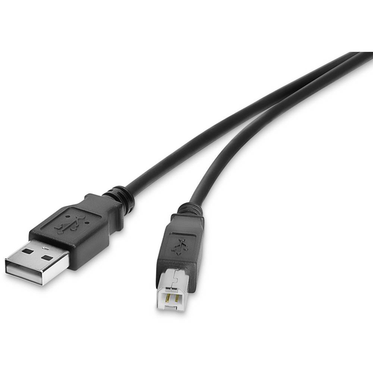 Renkforce RF-4463064 USB 2.0 Anslutningskabel [1x USB 2.0 A hane - 1x USB 2.0 B hane] 30.00 cm Svart guldpläterad kontakt