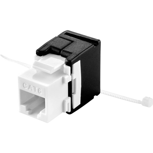 RJ45 modul Keystone CAT 6A Renkforce