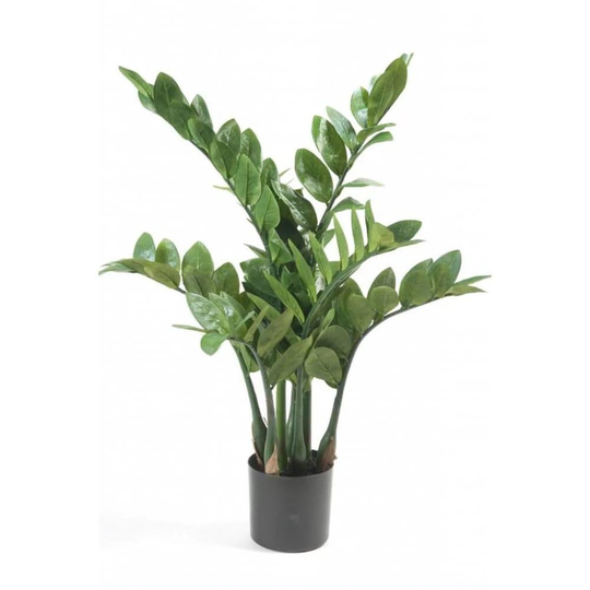 Emerald Konstväxt garderobsblomma 70 cm