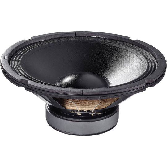 Renkforce CPA PA-10 10 tum 25.4 cm Högtalarelement 150 W 8 Ω