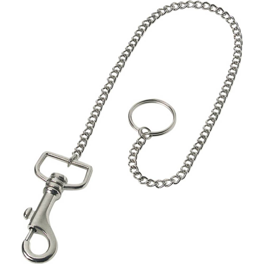 Basi 4026434004359 Säkerhetskedja Silver 10 st
