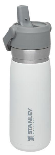 THERMOS STANLEY GO 0.65L WHITE