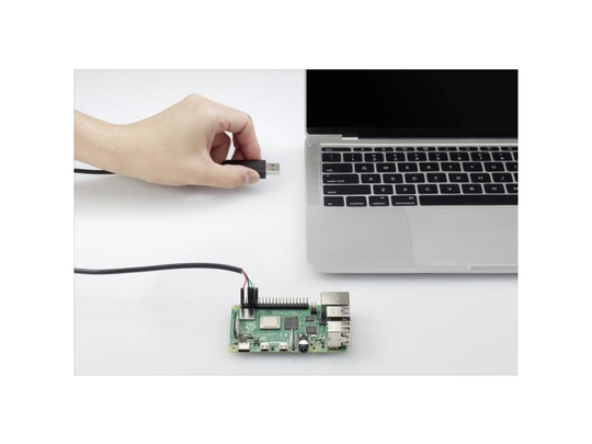 Renkforce USB/TTL Jumper-kabel Raspberry Pi [1x USB 2.0 stik A - 4x Trådbro-bøsning] 1.00 m Sort