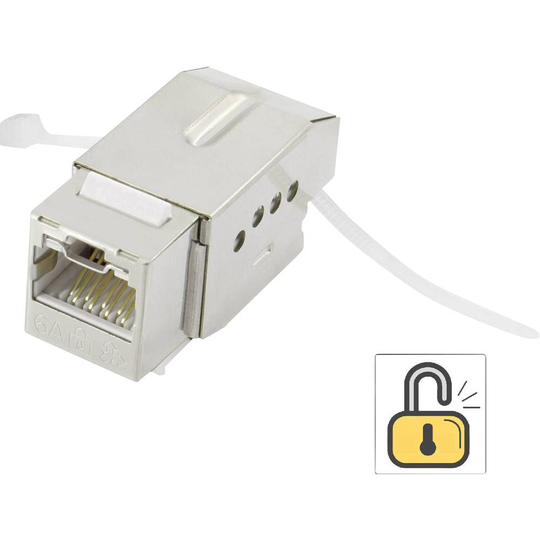 RJ45 modul Keystone CAT 6A Renkforce KSV10