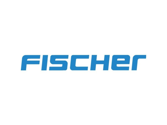 FISCHER FAHRRAD 85096 Cykelslange 28 tommer Dunlopventil (DV)