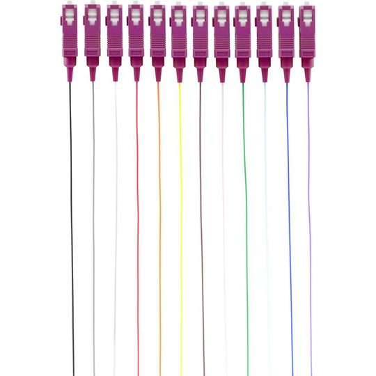Fiberoptisk pigtail Renkforce RF-3909394 12-färgad
