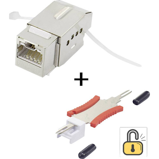 RJ45 modul Keystone CAT 6A Renkforce KSV10 + Tooling